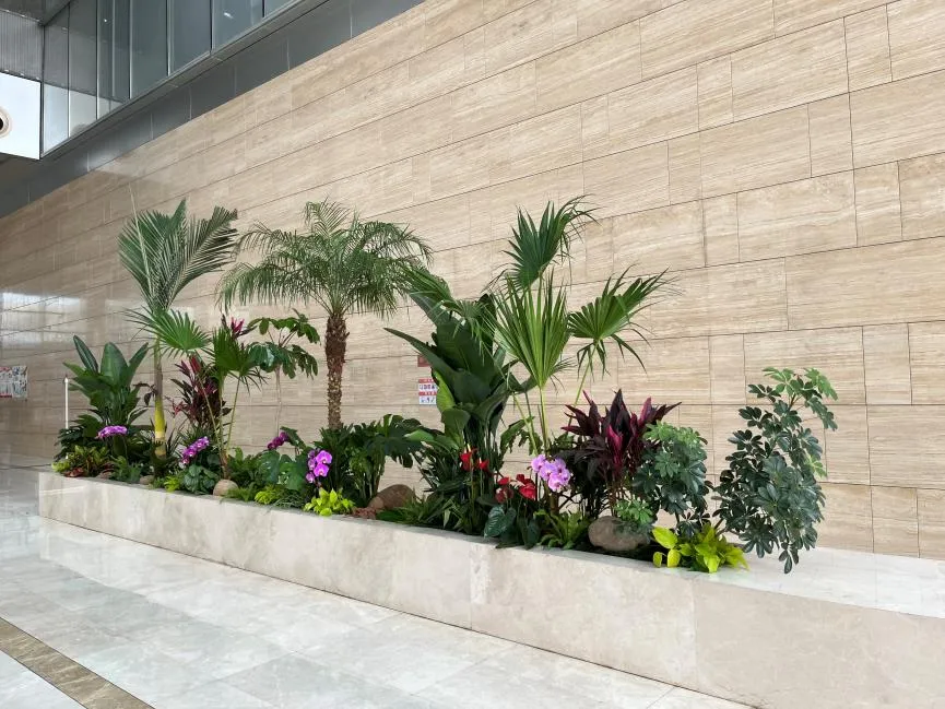 宁波海曙花卉租赁方案