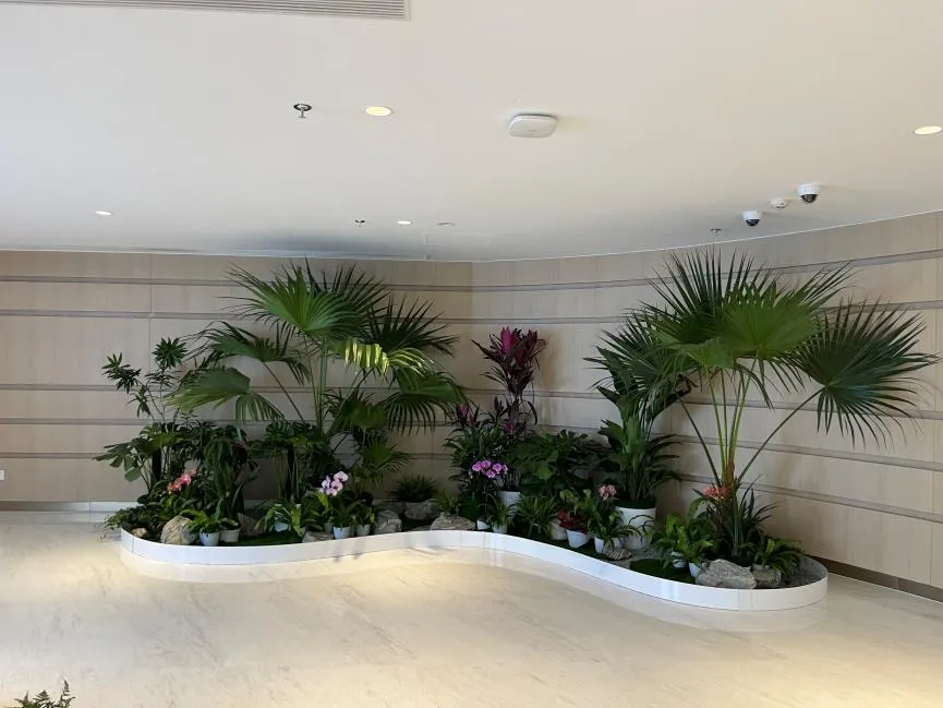 江北绿化养护大比拼，哪家能脱颖而出成为你的首选？